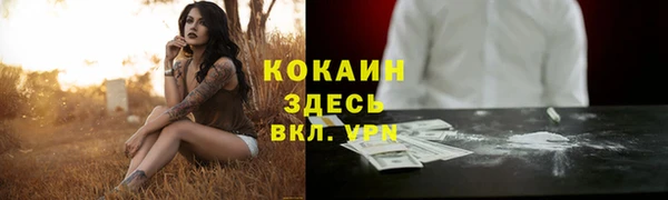 стафф Краснотурьинск