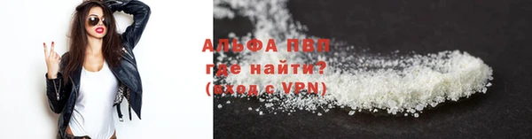 СК Куйбышев